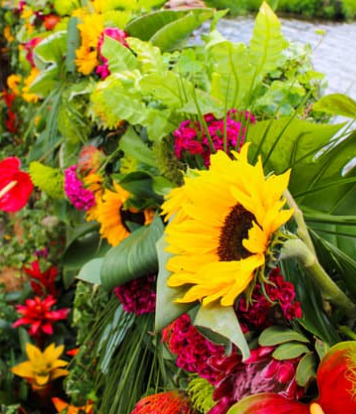 Cheddar Flower Show