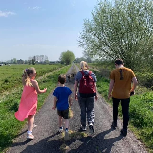 What is The Mendips Rock?